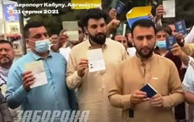 Владимир Зеленский - "Мы в Кабуле в очень опасной ситуации": украинцы просят Зеленского о помощи - korrespondent.net - Украина - Афганистан - Кабул