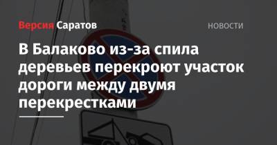 В Балаково из-за спила деревьев перекроют участок дороги между двумя перекрестками - nversia.ru - Саратовская обл. - Саратов
