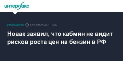 Александр Новак - Новак заявил, что кабмин не видит рисков роста цен на бензин в РФ - smartmoney.one - Москва - Россия