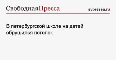 В петербургской школе на детей обрушился потолок - svpressa.ru - Санкт-Петербург - Московская обл.