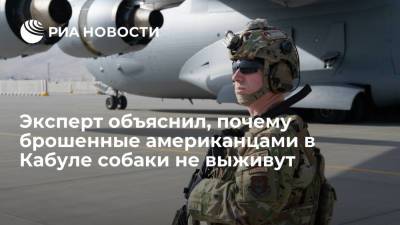 Эксперт "Кинологии XXI век" Карапетьянц: у мусульман определенное отношение к собакам - ria.ru - Москва - Россия - США - Афганистан - Талибан
