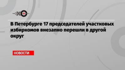 Элла Памфилова - В Петербурге 17 председателей участковых избиркомов внезапно перешли в другой округ - echo.msk.ru - Россия - Санкт-Петербург