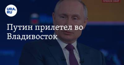 Владимир Путин - Олег Кожемяко - Путин прилетел во Владивосток - ura.news - Россия - респ. Дагестан - Приморье край - Владивосток - окр. Дальневосточный