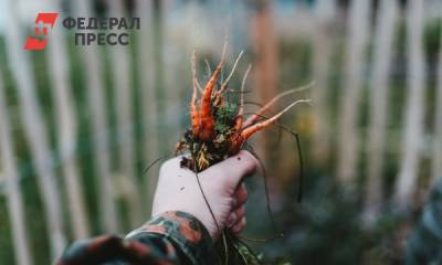 Народные приметы на начало сентября: что можно делать и что нельзя - fedpress.ru - Москва - Русь