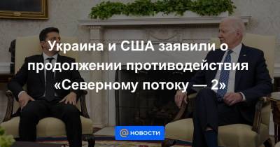Владимир Зеленский - Джо Байден - Украина и США заявили о продолжении противодействия «Северному потоку — 2» - news.mail.ru - США - Украина