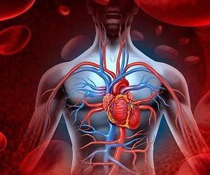 Старинные фиторецепты для очищения крови - goodnews.ua