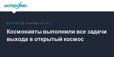 Олег Новицкий - Петр Дубров - Космонавты выполнили все задачи выхода в открытый космос - interfax.ru - Москва - Россия