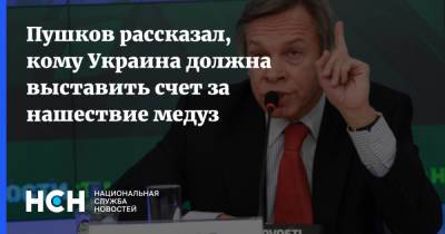 Алексей Пушков - Александр Старух - Пушков рассказал, кому Украина должна выставить счет за нашествие медуз - nsn.fm - Москва - Россия - Украина - Киев - Италия - Запорожская обл.