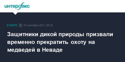 Защитники дикой природы призвали временно прекратить охоту на медведей в Неваде - interfax.ru - Москва - США - шт. Невада