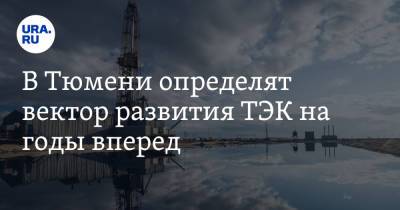 Андрей Пантелеев - В Тюмени определят вектор развития ТЭК на годы вперед - ura.news - Россия - Тюмень - Тюменская обл.