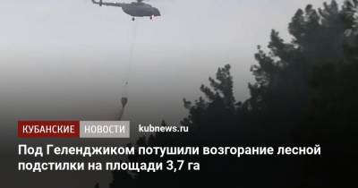 Под Геленджиком потушили возгорание лесной подстилки на площади 3,7 га - kubnews.ru - Россия - Краснодарский край - Новороссийск - Геленджик - населенный пункт Угрозы