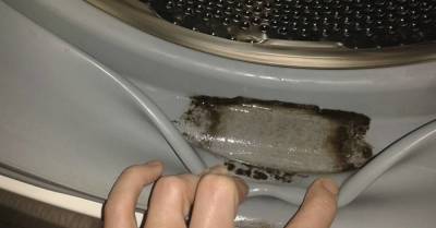 Скверная хозяйка призналась, что не в силах вывести плесень из стиральной машины - skuke.net