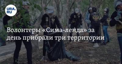 Волонтеры «Сима-ленда» за день прибрали три территории - ura.news - Заречный