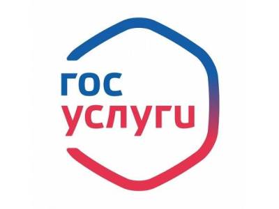 Россиян предупредили о мошенниках, которые наживаются при помощи госуслуг - rosbalt.ru