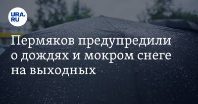 Пермяков предупредили о дождях и мокром снеге на выходных - ura.news - Россия - Казахстан - Пермский край