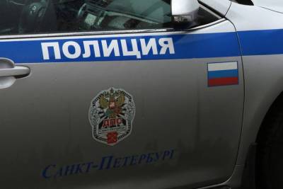 Десятилетнюю девочку из Гатчины нашли дома у педофила - spb.mk.ru - Санкт-Петербург