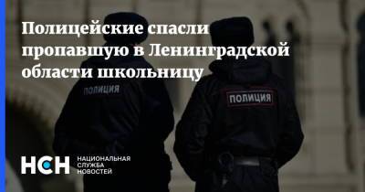 Полицейские спасли пропавшую в Ленинградской области школьницу - nsn.fm - Ленинградская обл. - Санкт-Петербург - район Красносельский, Санкт-Петербург - район Гатчинский