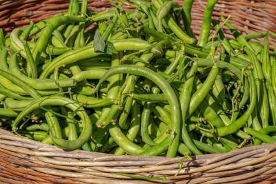 Ученые подсказали, какой продукт с музыкальным названием заменит таблетки, укрепит сердце и сосуды – Учительская газета - ug.ru - США