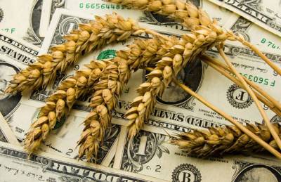 На экспорт ушло свыше 10 млн т украинского зерна - agroportal.ua - Украина