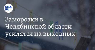 Заморозки в Челябинской области усилятся на выходных - ura.news - Челябинская обл. - Челябинск
