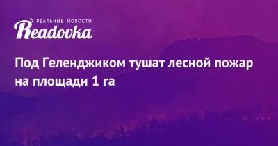 Под Геленджиком тушат лесной пожар на площади 1 га - readovka.news - Австрия - респ. Саха - Геленджик - населенный пункт Угрозы