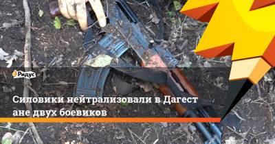 Силовики нейтрализовали вДагестане двух боевиков - ridus.ru - респ. Дагестан