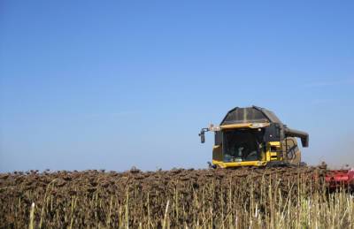 В AgroGeneration ожидают достойный урожай подсолнечника - agroportal.ua - Украина