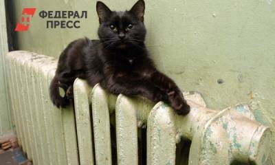 Батареи просят тепла: когда в Поволжье стартует отопительный сезон - fedpress.ru - Россия