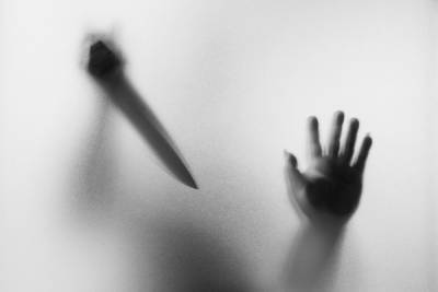 Житель Гатчины ответит за убийство солдата в 1995 году - spb.mk.ru - РСФСР