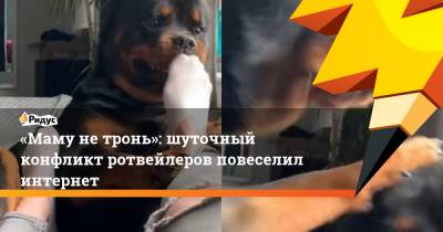 «Маму не тронь»: шуточный конфликт ротвейлеров повеселил интернет - ridus.ru - Турция