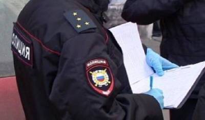 Полиция в Петербурге спасла школьницу из квартиры предполагаемого педофила - newizv.ru - Ленинградская обл. - Санкт-Петербург - район Красносельский, Санкт-Петербург - район Гатчинский