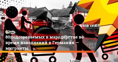 80% подозреваемых в мародёрстве во время наводнений в Германии — мигранты - ridus.ru - Сирия - Германия