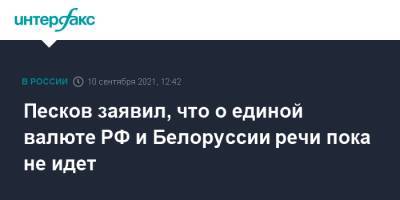Владимир Путин - Дмитрий Песков - Александр Лукашенко - Песков заявил, что о единой валюте РФ и Белоруссии речи пока не идет - interfax.ru - Москва - Россия - Белоруссия