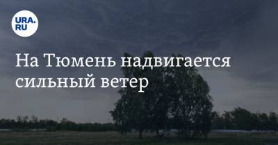На Тюмень надвигается сильный ветер - ura.news - Тюмень