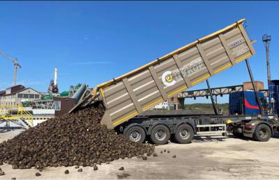 Завод A'SPIK Group начал принимать сахарную свеклу на переработку - agroportal.ua - Украина