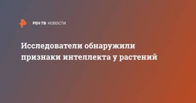 Ученые обнаружили признаки интеллекта у растений - ren.tv