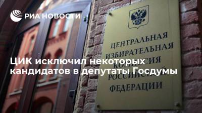 ЦИК исключил кандидатов в депутаты Госдумы из списков "Яблока", РПСС и Партии роста - ria.ru - Москва - Россия