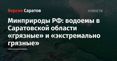 Минприроды РФ: водоемы в Саратовской области «грязные» и «экстремально грязные» - nversia.ru - Россия - Уфа - Саратовская обл. - Набережные Челны - Волгоград - Тольятти - Экология