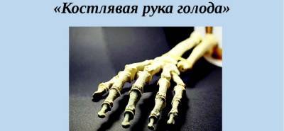 Владимир Зеленский - Владимир Корнилов - Зе-команда санкциями обрекает украинцев на голодную смерть –... - politnavigator.net - Россия - Украина - Снбо