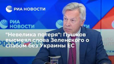 Владимир Зеленский - Алексей Пушков - Андерс Фог Расмуссен - Сенатор Пушков высмеял заявление Зеленского о нуждающихся в Украине Евросоюзе и НАТО - ria.ru - Москва - Россия - Украина - Киев