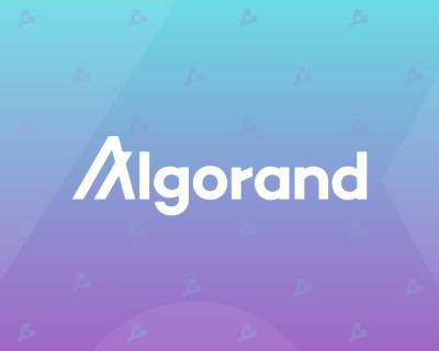 Algorand Foundation запустила фонд для поддержки DeFi-инноваций - forklog.com