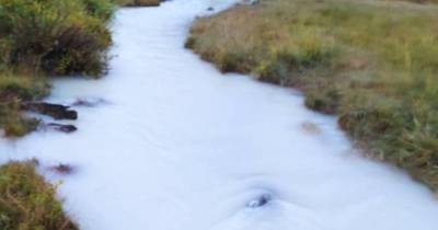 В Бурприроднадзоре объяснили появление "молочной" реки в Бурятии - ren.tv - респ.Бурятия