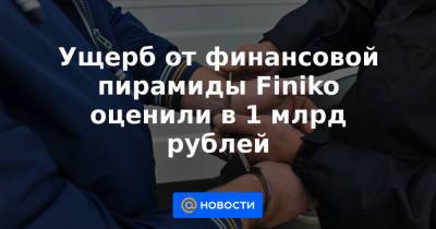 Ирина Волк - Ущерб от финансовой пирамиды Finiko оценили в 1 млрд рублей - news.mail.ru - Австрия - Россия - США - Казахстан - Германия - Венгрия - Киргизия