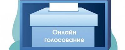 Онлайн-голосование в Москве может привлечь к выборам до 40% новых избирателей – политолог - runews24.ru - Москва