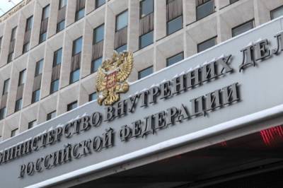 Ирина Волк - Дело финансовой пирамиды Finiko передано в центральный аппарат МВД - aif.ru - Россия
