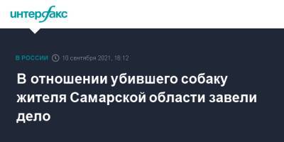 В отношении убившего собаку жителя Самарской области завели дело - interfax.ru - Москва - Самарская обл.