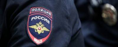 Родин: В Петербурге в 2020 году поймали рекордное число педофилов - runews24.ru - Ленинградская обл. - Санкт-Петербург