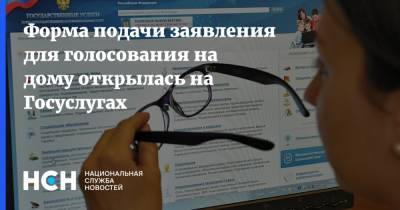 Форма подачи заявления для голосования на дому открылась на Госуслугах - nsn.fm - Россия