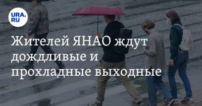 Жителей ЯНАО ждут дождливые и прохладные выходные - ura.news - окр. Янао