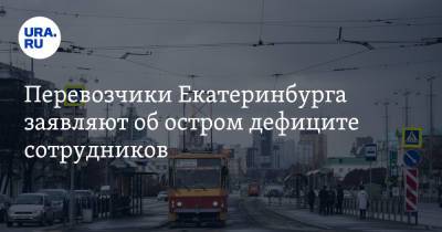 Перевозчики Екатеринбурга заявляют об остром дефиците сотрудников. «Иностранцы уехали» - ura.news - Россия - Екатеринбург